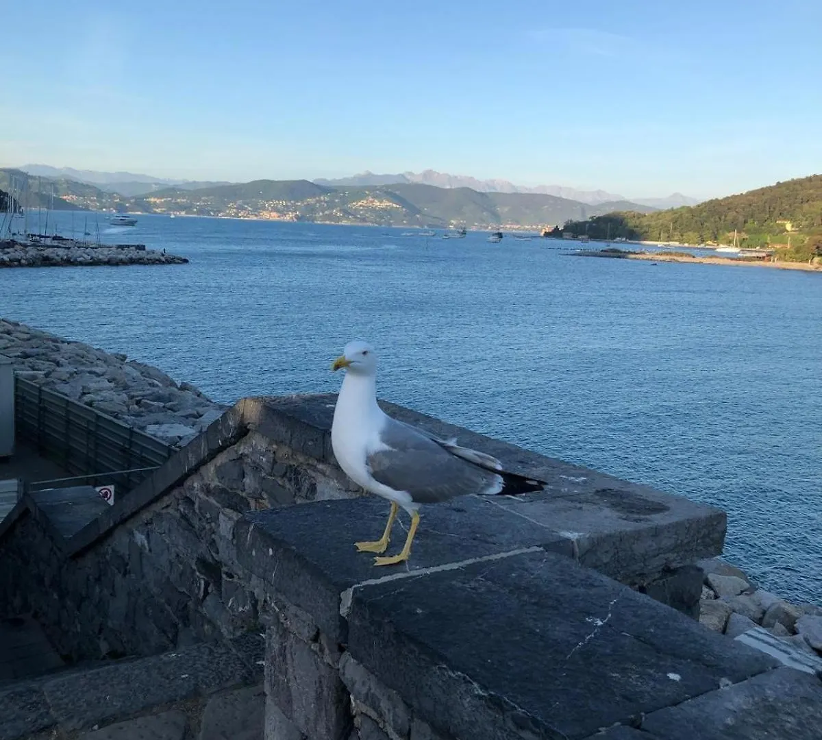 Osy Apartment La Spezia Italy